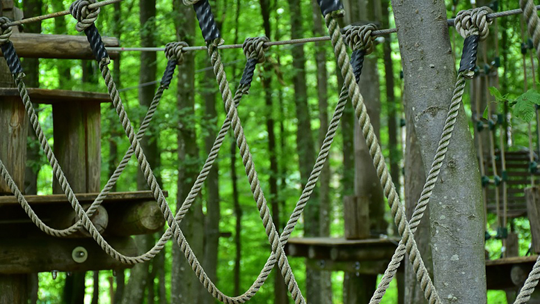 bos-klimmen-touwen-hout-feestje-buiten-natuur